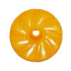 Disc for Rope Swing
